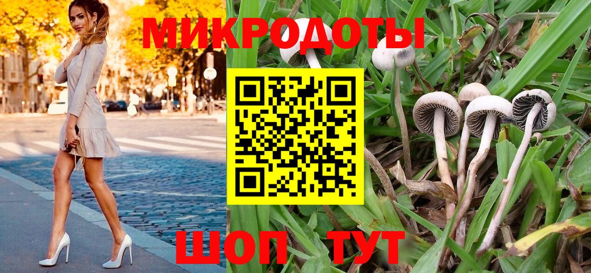 Галлюциногенные грибы Psilocybe Шали