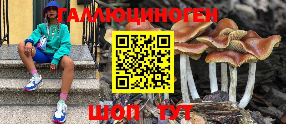 купить  цена  Псилоцибиновые грибы Cubensis  Вход с VPN  Шали 
